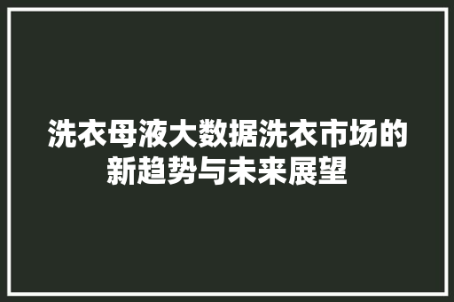 洗衣母液大数据洗衣市场的新趋势与未来展望  第1张