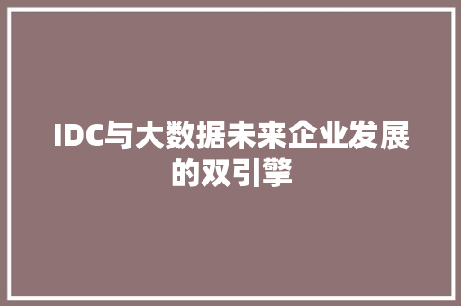 IDC与大数据未来企业发展的双引擎