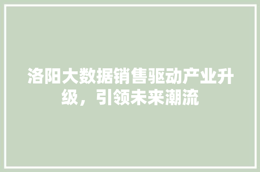 洛阳大数据销售驱动产业升级，引领未来潮流  第1张