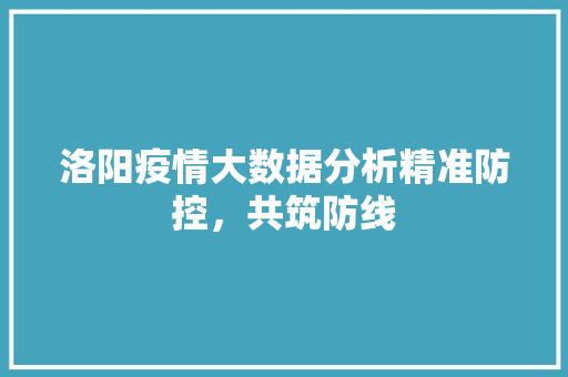 洛阳疫情大数据分析精准防控，共筑防线  第1张