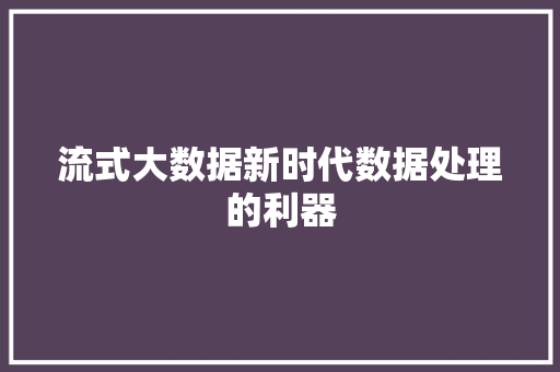 流式大数据新时代数据处理的利器