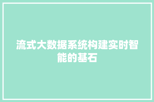 流式大数据系统构建实时智能的基石