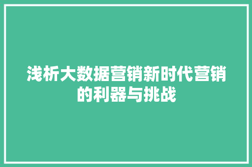 浅析大数据营销新时代营销的利器与挑战  第1张