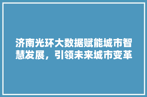 济南光环大数据赋能城市智慧发展，引领未来城市变革  第1张