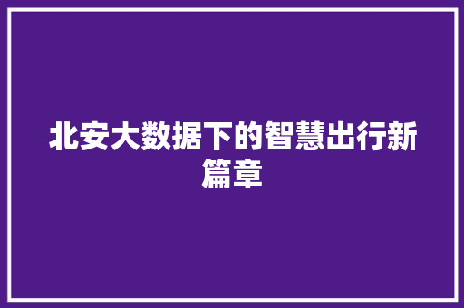 北安大数据下的智慧出行新篇章
