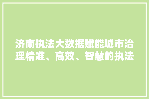 济南执法大数据赋能城市治理精准、高效、智慧的执法新模式  第1张