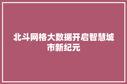 北斗网格大数据开启智慧城市新纪元