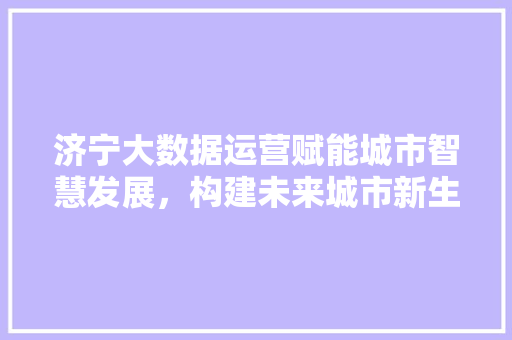 济宁大数据运营赋能城市智慧发展，构建未来城市新生态