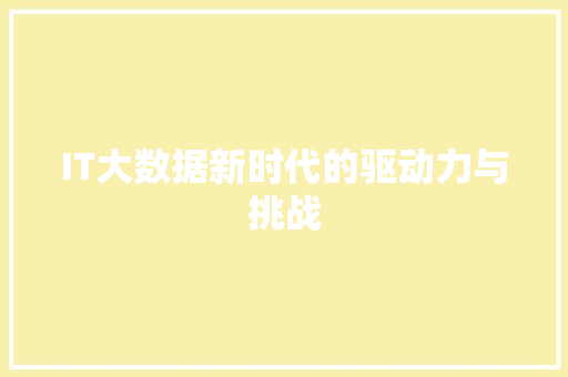 IT大数据新时代的驱动力与挑战