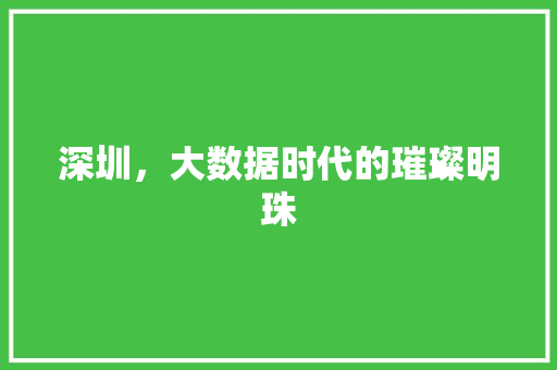 深圳，大数据时代的璀璨明珠