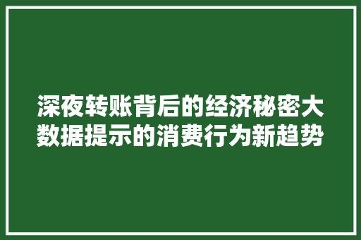 深夜转账背后的经济秘密大数据提示的消费行为新趋势