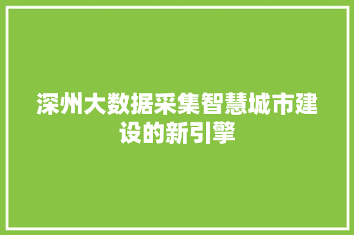 深州大数据采集智慧城市建设的新引擎