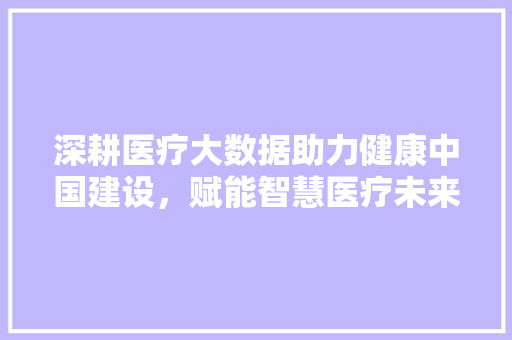 深耕医疗大数据助力健康中国建设，赋能智慧医疗未来  第1张