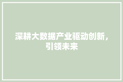 深耕大数据产业驱动创新，引领未来  第1张