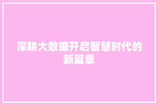 深耕大数据开启智慧时代的新篇章