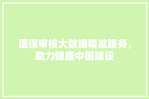 医保审核大数据精准服务，助力健康中国建设  第1张