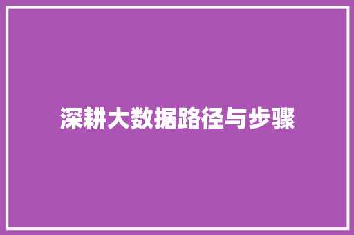 深耕大数据路径与步骤  第1张
