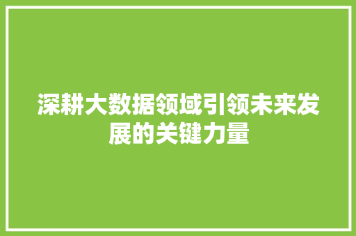 深耕大数据领域引领未来发展的关键力量  第1张