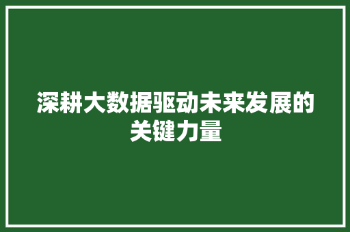 深耕大数据驱动未来发展的关键力量  第1张