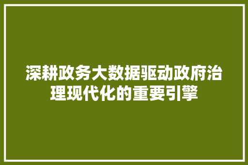深耕政务大数据驱动政府治理现代化的重要引擎