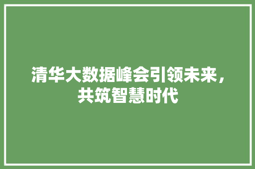 清华大数据峰会引领未来，共筑智慧时代  第1张