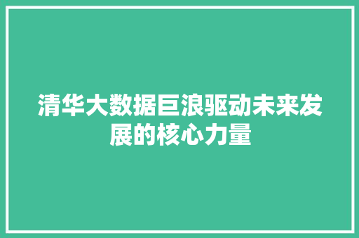 清华大数据巨浪驱动未来发展的核心力量  第1张