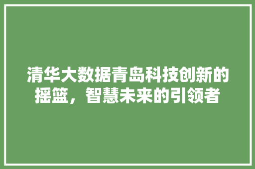 清华大数据青岛科技创新的摇篮，智慧未来的引领者