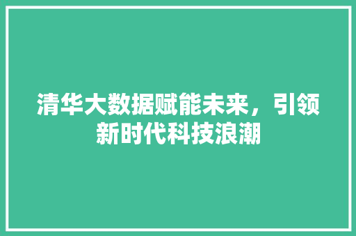 清华大数据赋能未来，引领新时代科技浪潮