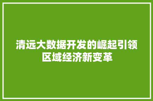 清远大数据开发的崛起引领区域经济新变革  第1张
