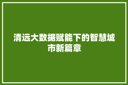 清远大数据赋能下的智慧城市新篇章