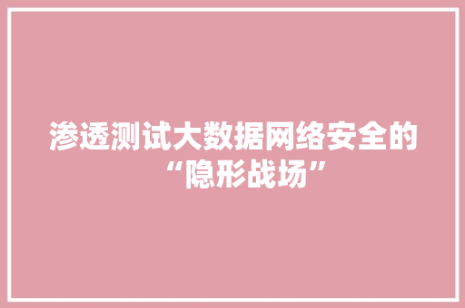 渗透测试大数据网络安全的“隐形战场”