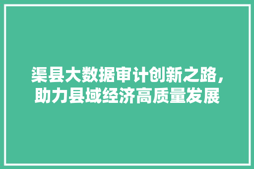 渠县大数据审计创新之路，助力县域经济高质量发展  第1张