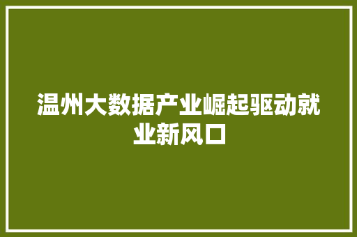 温州大数据产业崛起驱动就业新风口  第1张
