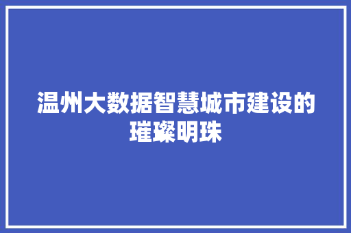 温州大数据智慧城市建设的璀璨明珠  第1张