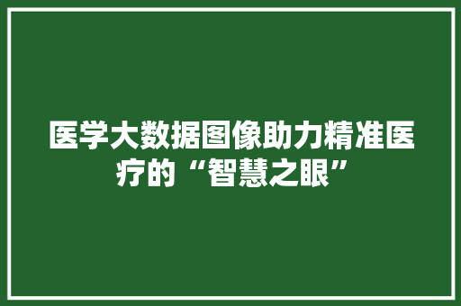 医学大数据图像助力精准医疗的“智慧之眼”
