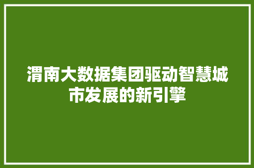 渭南大数据集团驱动智慧城市发展的新引擎