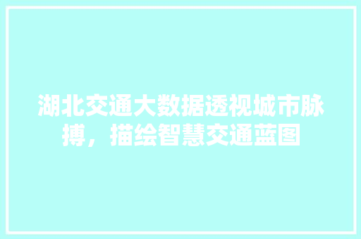 湖北交通大数据透视城市脉搏，描绘智慧交通蓝图  第1张