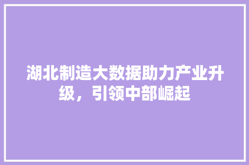 湖北制造大数据助力产业升级，引领中部崛起  第1张