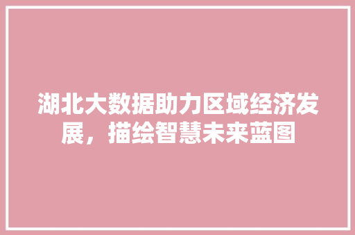湖北大数据助力区域经济发展，描绘智慧未来蓝图