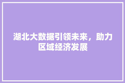 湖北大数据引领未来，助力区域经济发展