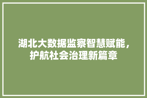 湖北大数据监察智慧赋能，护航社会治理新篇章