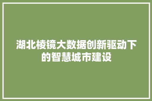 湖北棱镜大数据创新驱动下的智慧城市建设  第1张