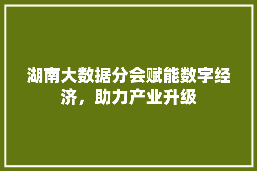 湖南大数据分会赋能数字经济，助力产业升级  第1张