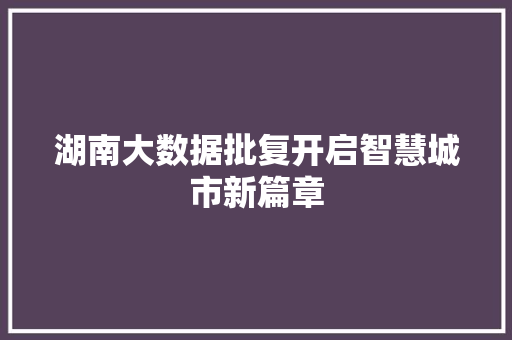 湖南大数据批复开启智慧城市新篇章  第1张