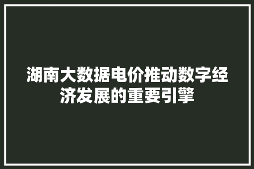 湖南大数据电价推动数字经济发展的重要引擎