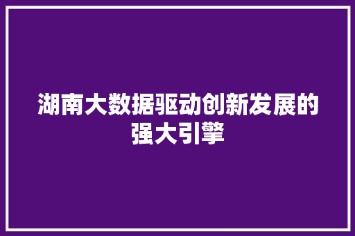 湖南大数据驱动创新发展的强大引擎  第1张