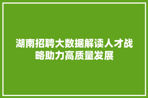 湖南招聘大数据解读人才战略助力高质量发展