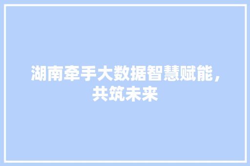 湖南牵手大数据智慧赋能，共筑未来  第1张