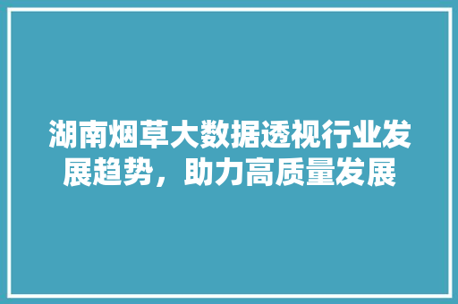 湖南烟草大数据透视行业发展趋势，助力高质量发展