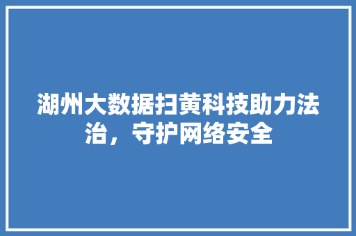 湖州大数据扫黄科技助力法治，守护网络安全